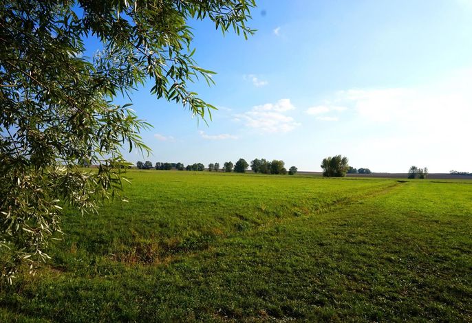 Bild 14