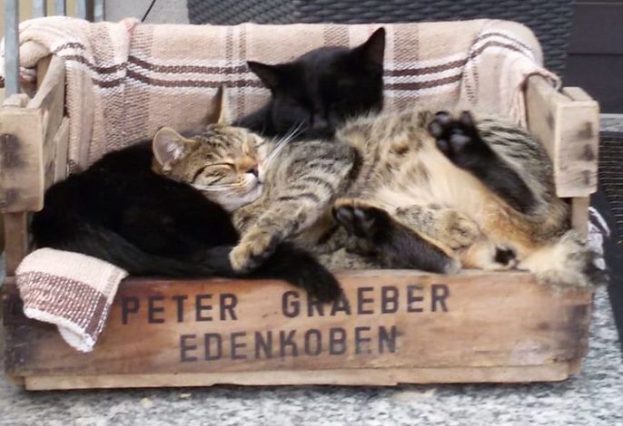 Bild 17