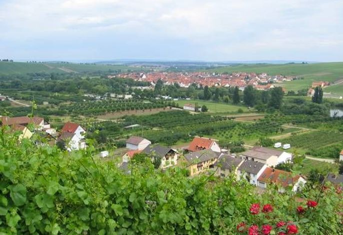 Ferien- und Winzerhof Ute Braun