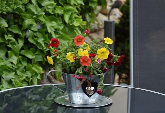 Bild 12