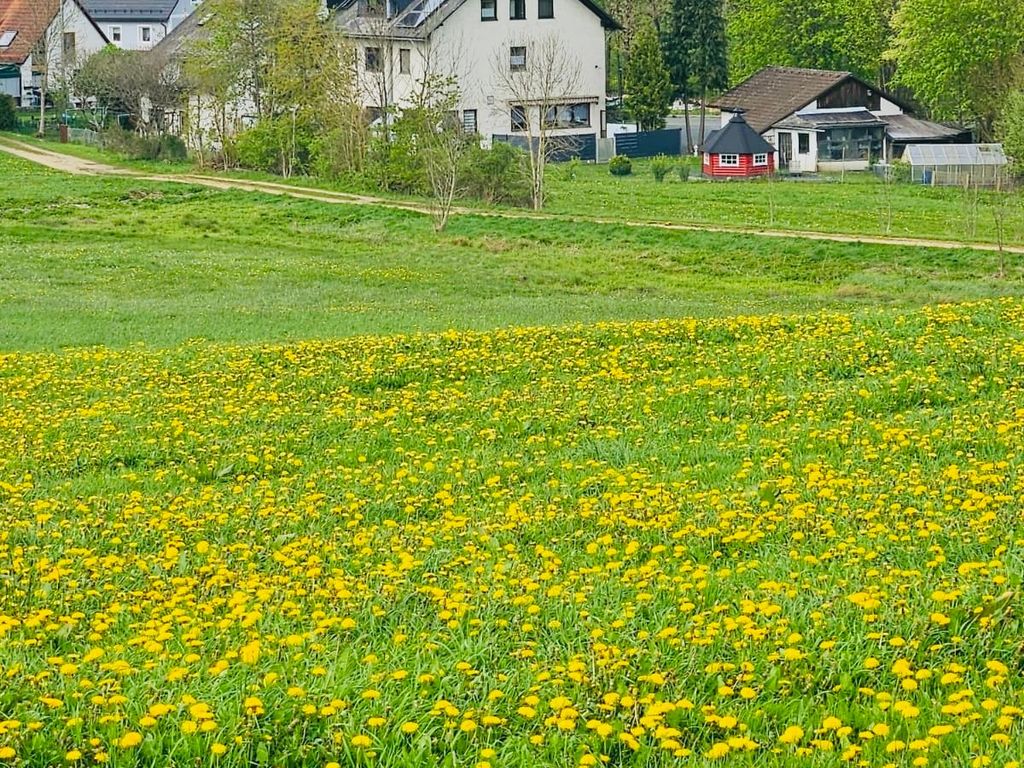 Bella’s Mühlbachtal