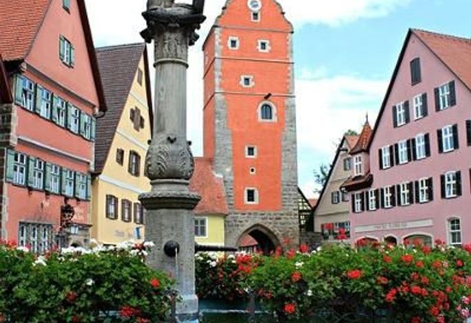 Bild 11