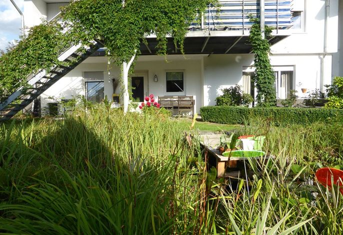 Bild 19