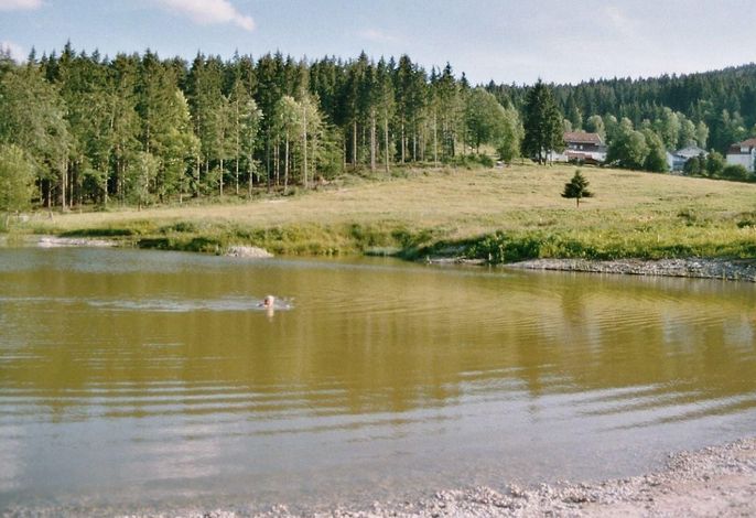 Bild 16