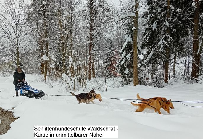Bild 29