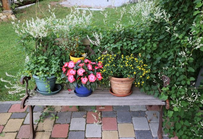Bild 12