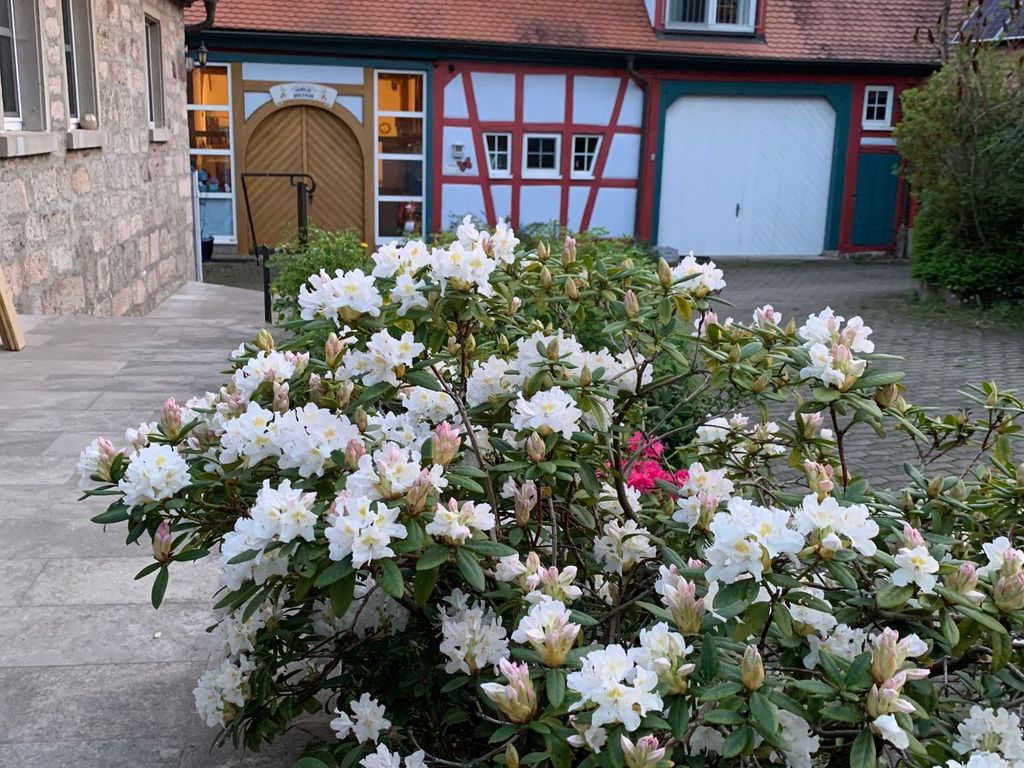 Pension im Vorhof