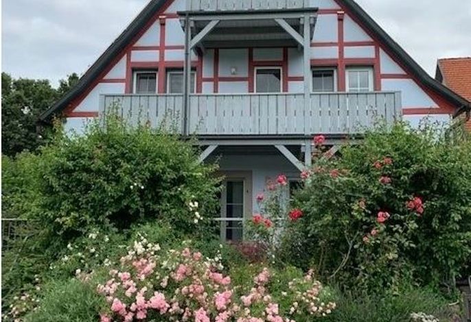 Bild 15