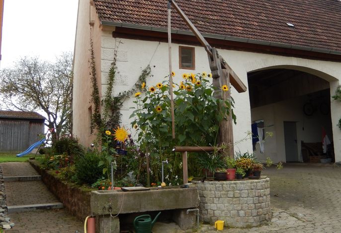 Bild 9