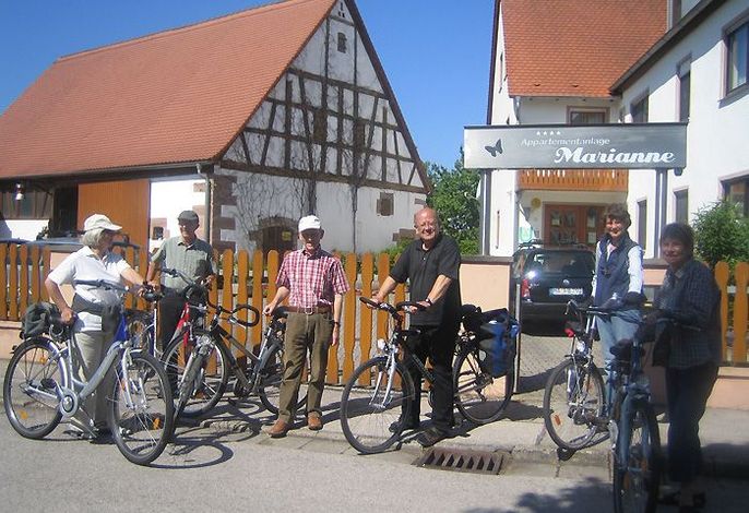 Bild 31