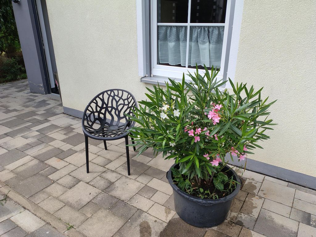 Ferienwohnung Wagner