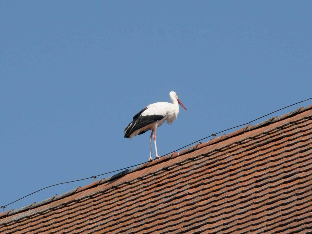 Ferienhof Winkler