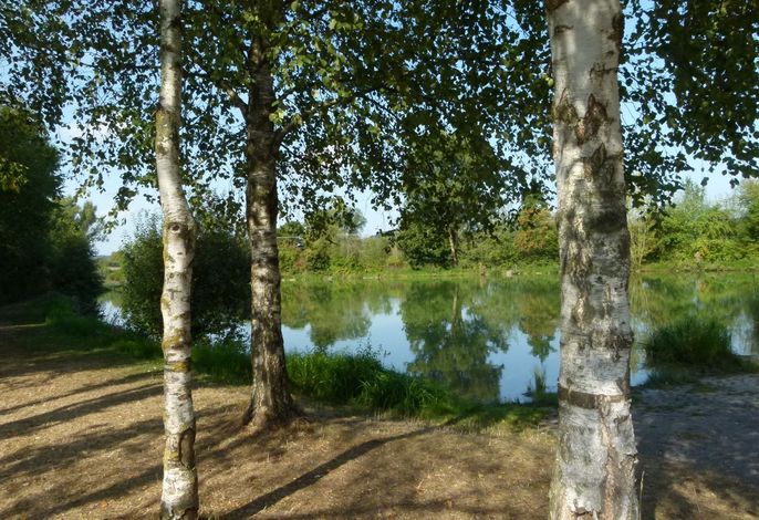 Bild 21