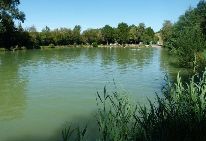 Bild 19