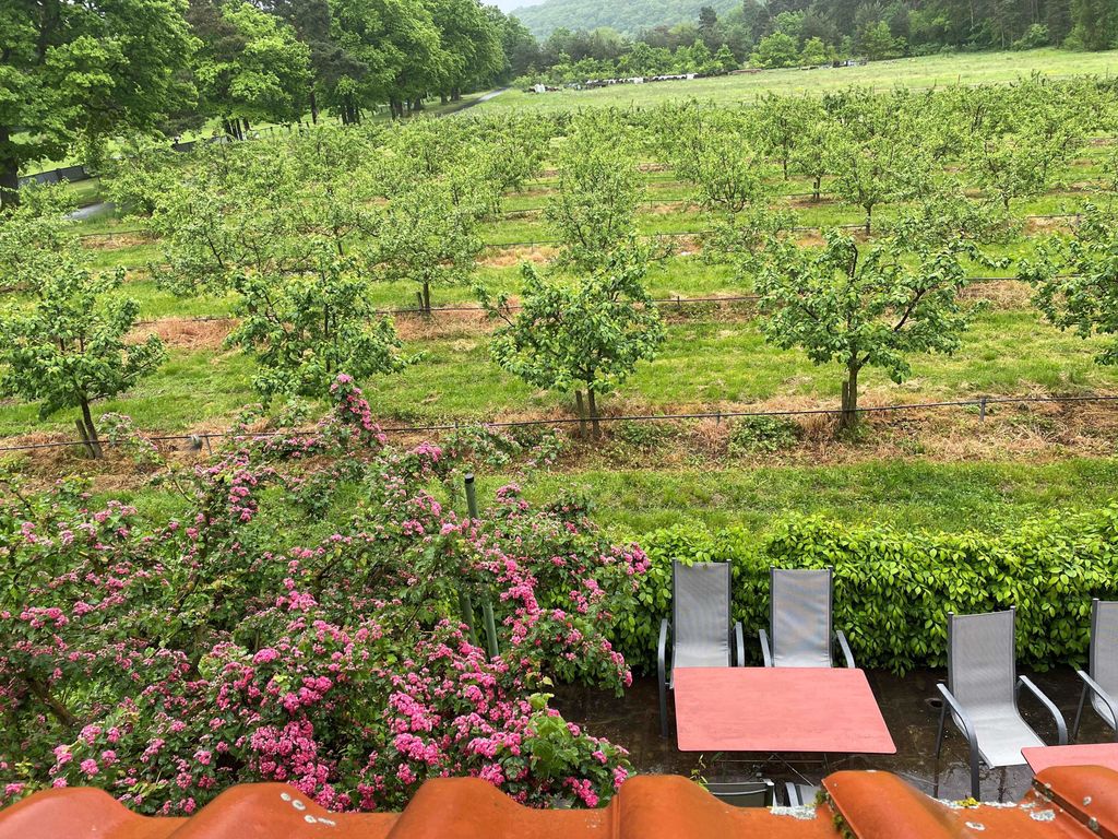 Blick aus dem Fenster im Sommer