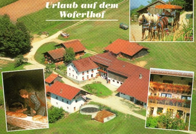 Woferlhof, Ferienhof Boxhorn