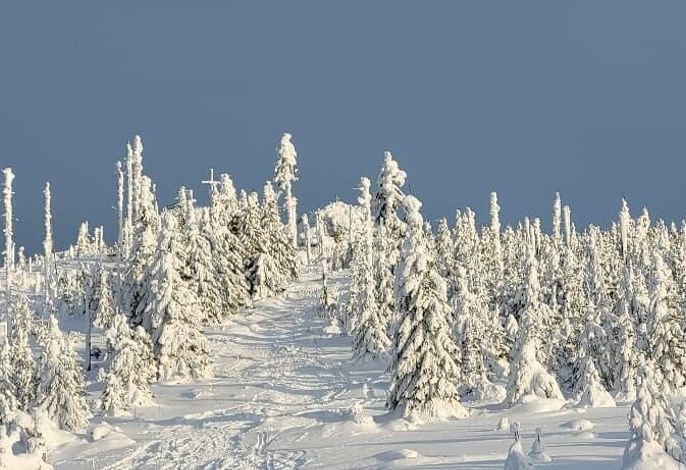 Bild 104