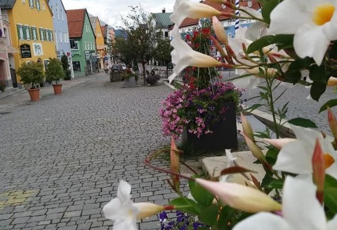 Bild 66