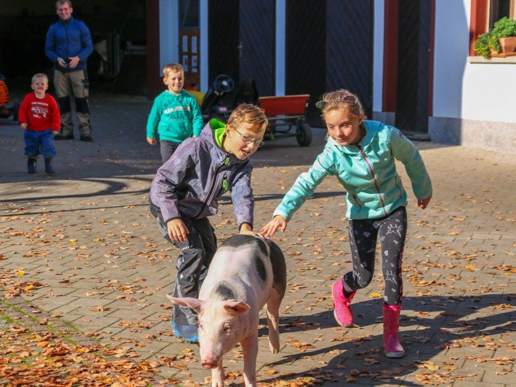 Ein Schwein ist entwischt. Schnell helfen Alle beim einfangen.