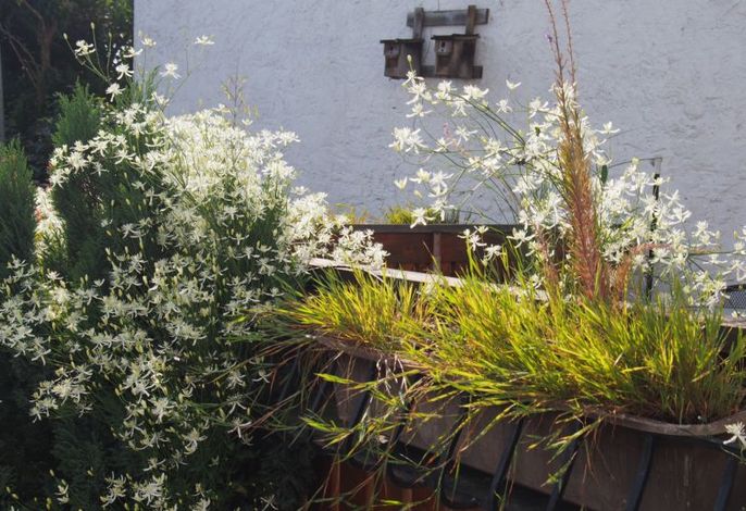 Bild 11