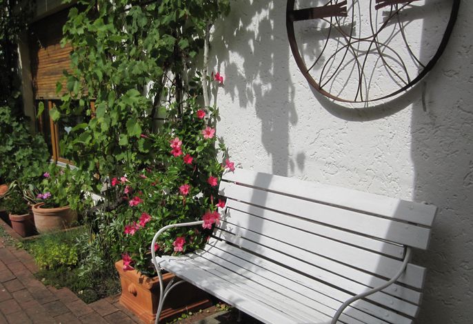 Bild 19