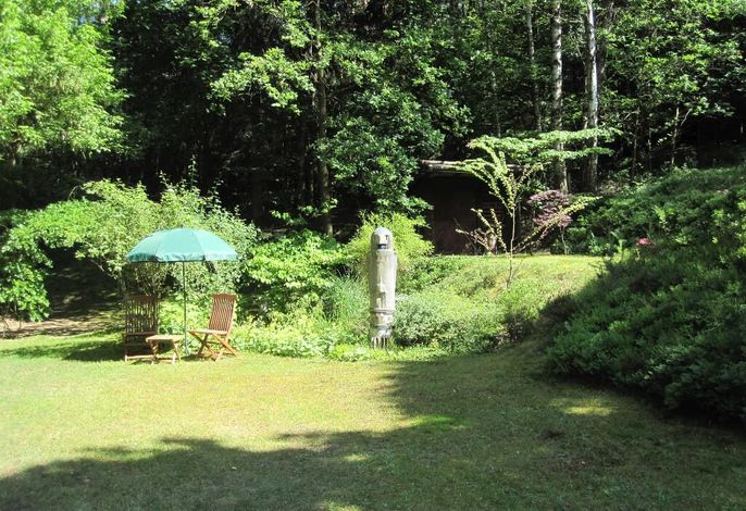 Bild 12