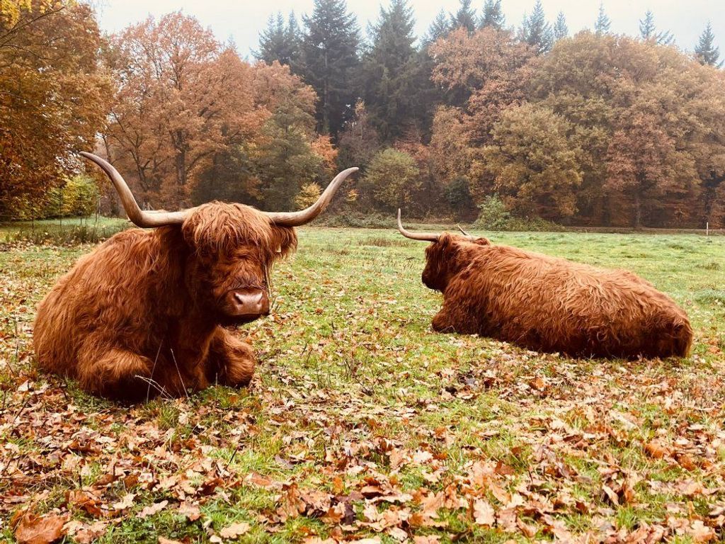 Dörthe und Denna Landreise