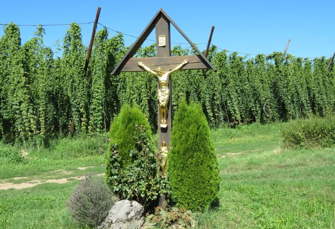 Bild 17