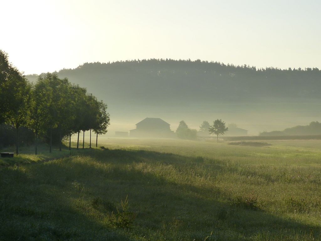 Cafe und Pension Ringer