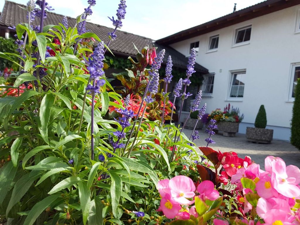 Einfahrt zum Haus