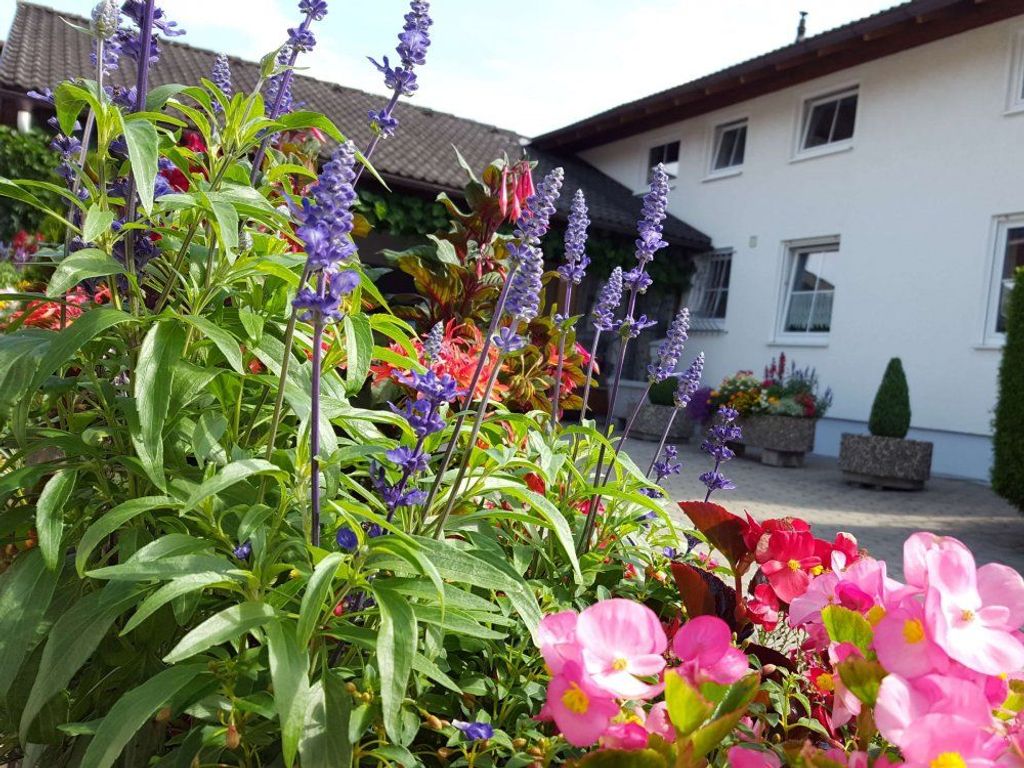 Einfahrt zum Haus