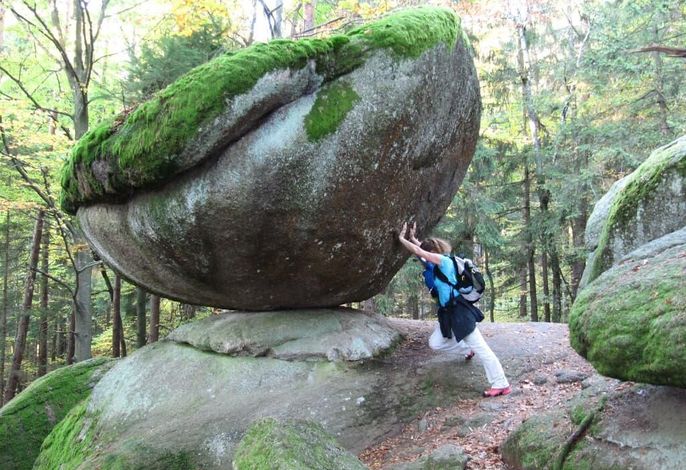 Bild 34