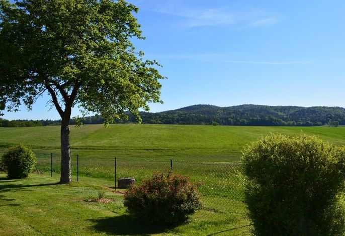 Bild 16