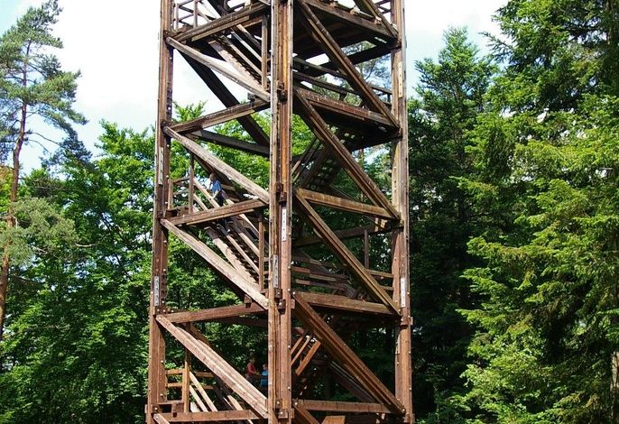 Bild 42