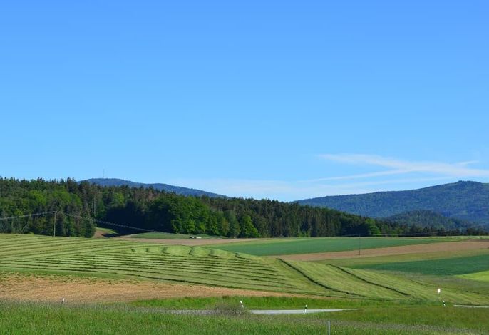 Bild 13