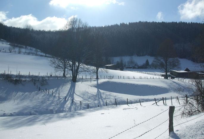 Bild 36