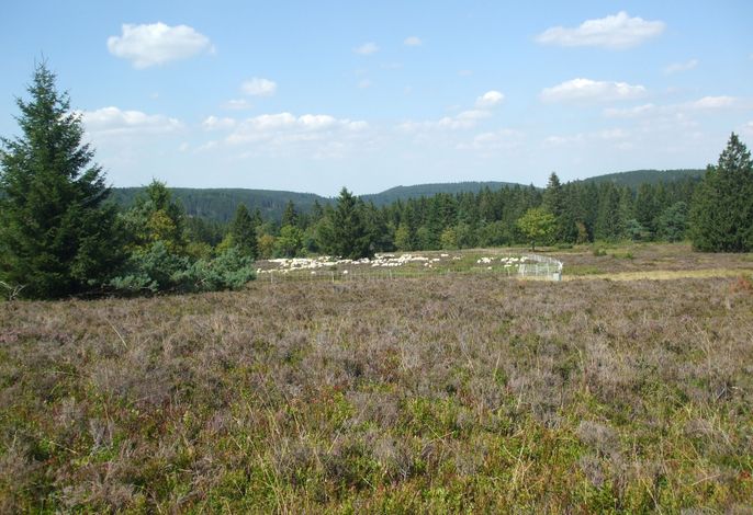 Bild 13