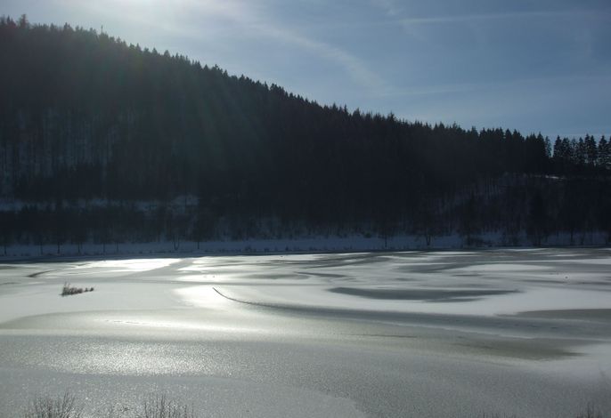 Bild 38