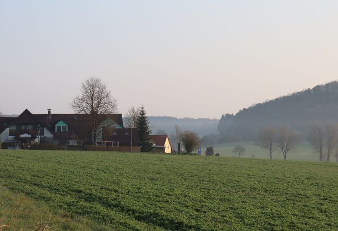 Bild 12