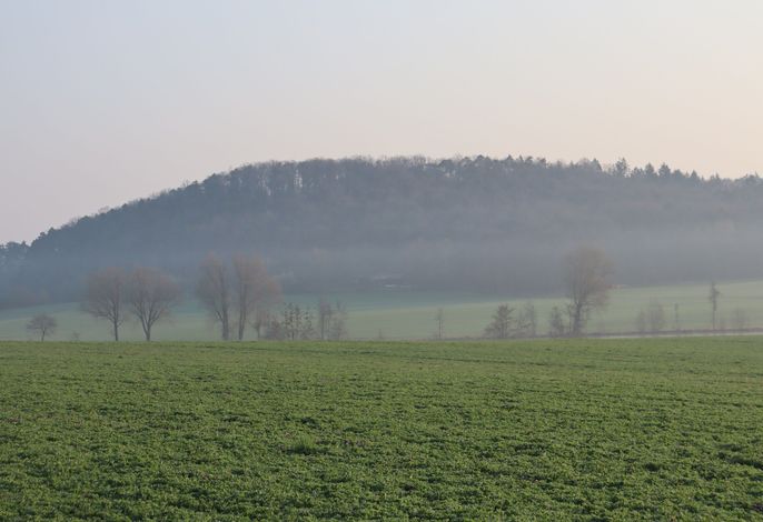 Bild 13