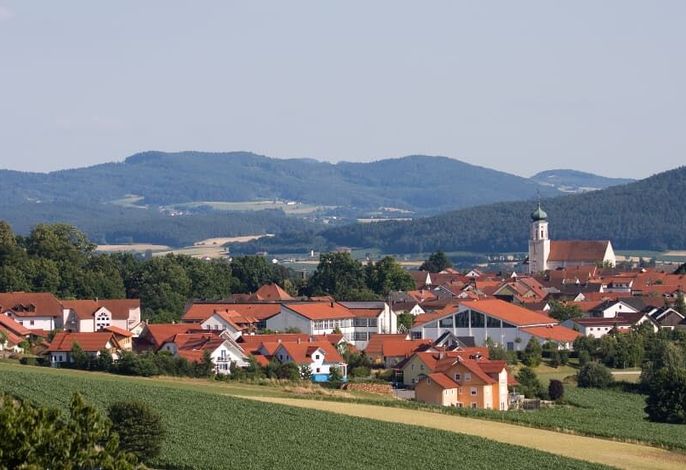 Bild 19