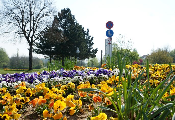 Bild 16