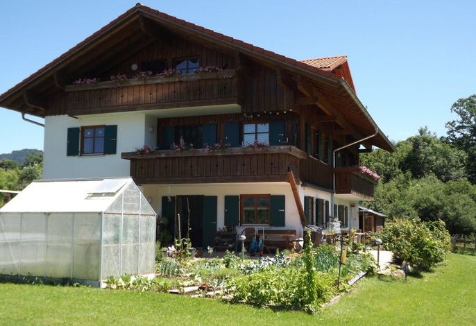 Bild 12