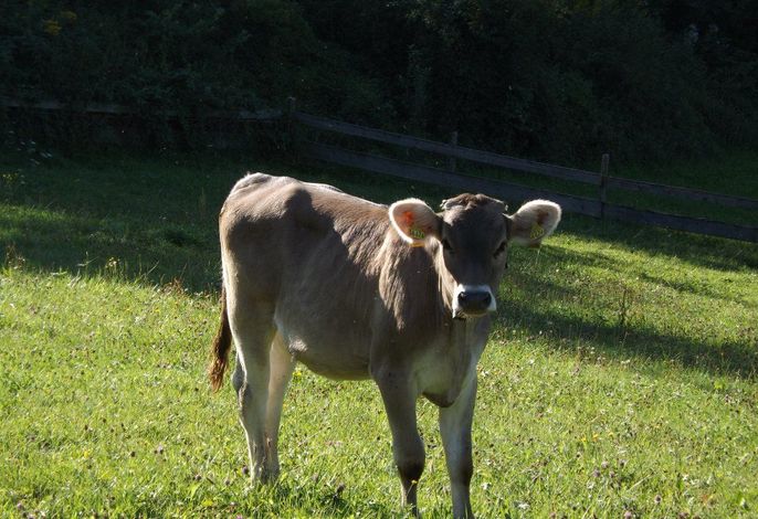 Bild 13