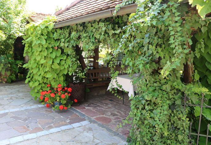 Bild 13