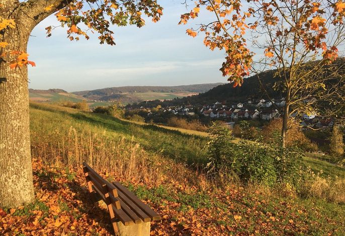 Bild 9