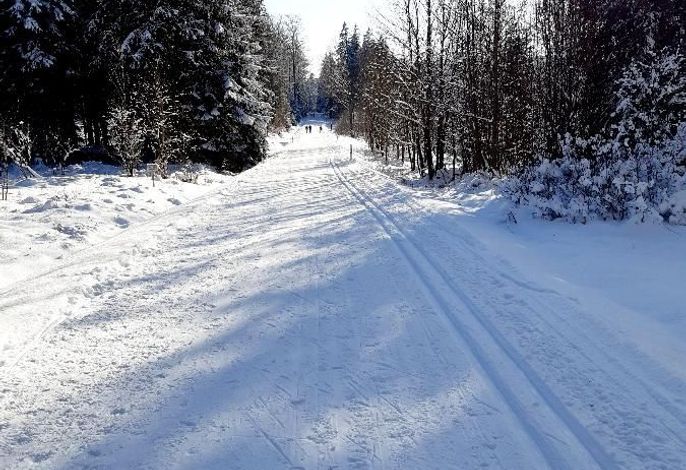 Bild 19