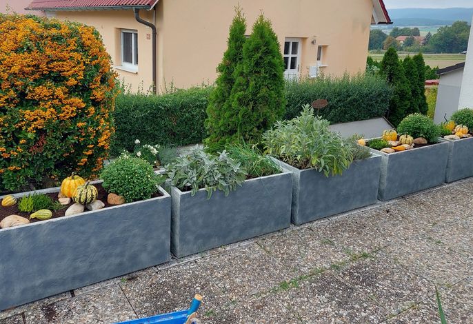 Bild 14