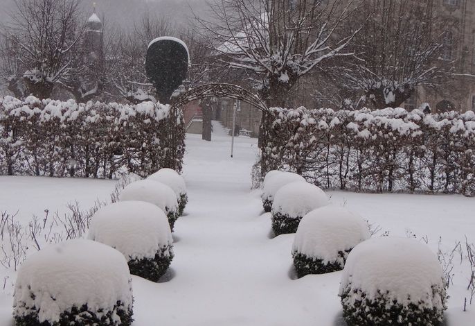 Bild 12