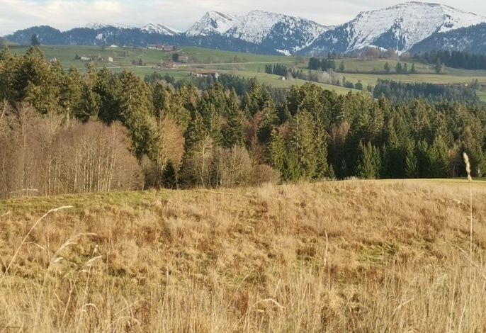 Bild 12